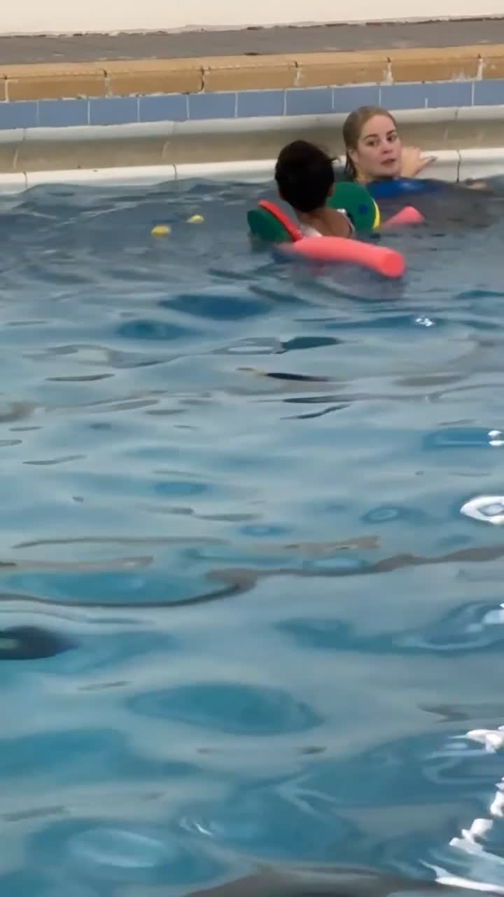 Scottish Fold cats for sale: British shorthair x Scottish fold kittens - Video 2