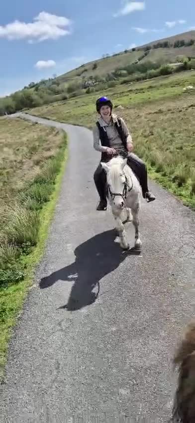 Welsh Section A horses for sale: Gorgeous Welsh A Part Bred in Llandrindod Wells - Video 1