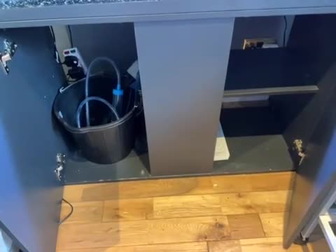 Terrapin reptiles for sale: 4 terrapins  in Dundee - Video 1