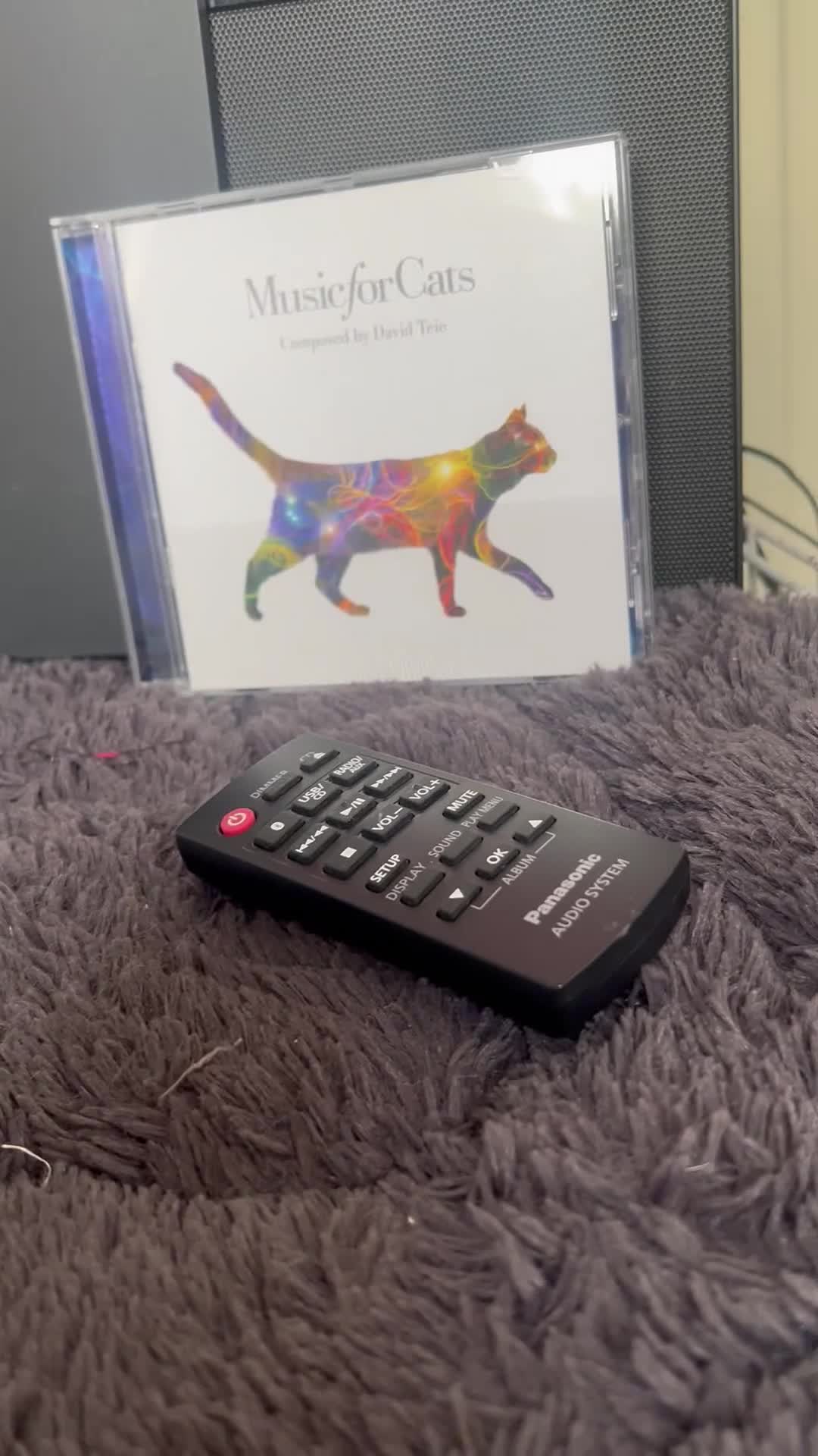 Mixed Breed cats for sale: ALL 4 KITTENS ARE NOW IN THEIR FOREVER HOMES ❤️ - Video 3