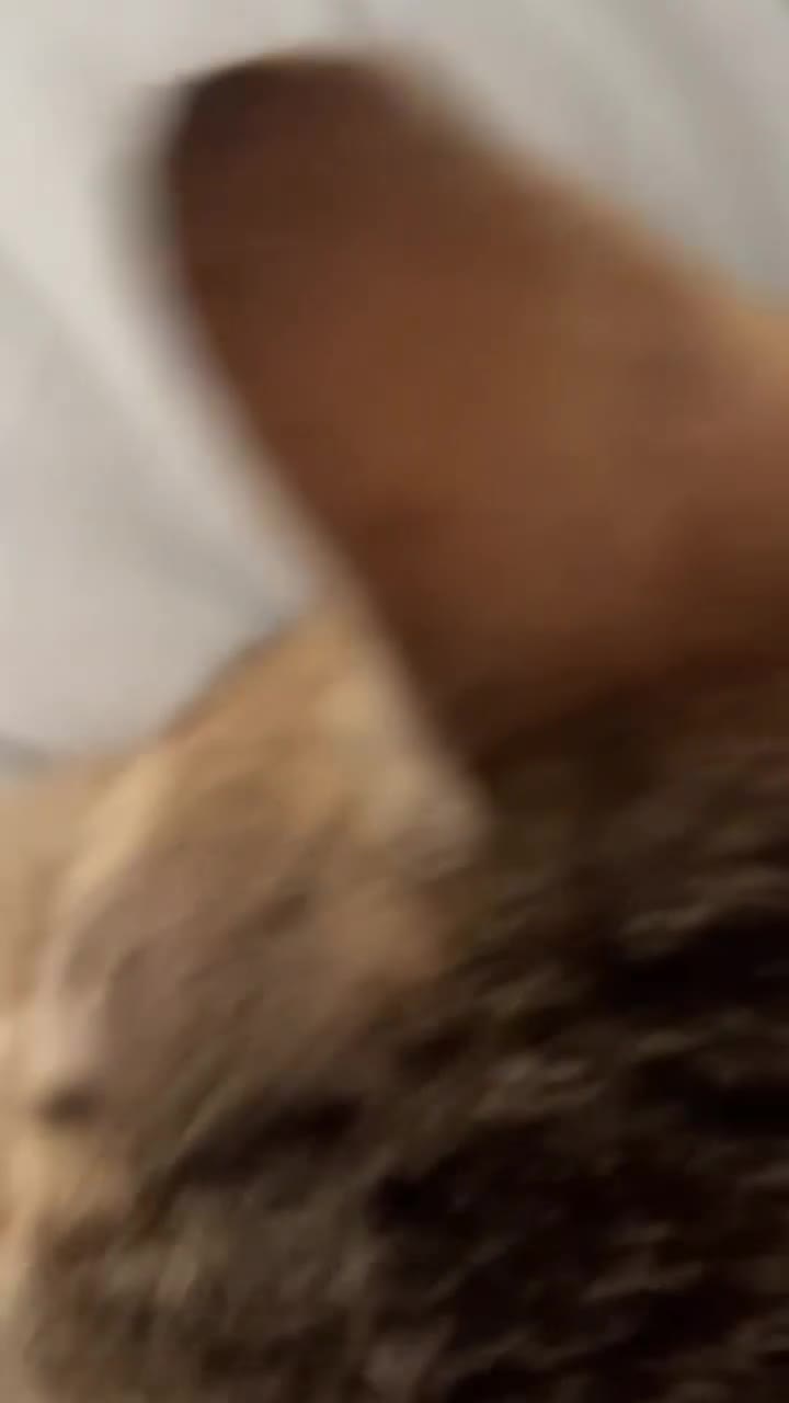 Bengal cats for sale: 🐯🩵Lynx point bengal kitten🩵🐯 in Spennymoor - Video 2