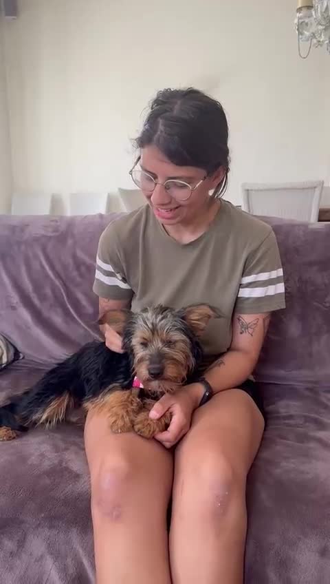Mixed Breed dogs for adoption: Little Luna - Video 1