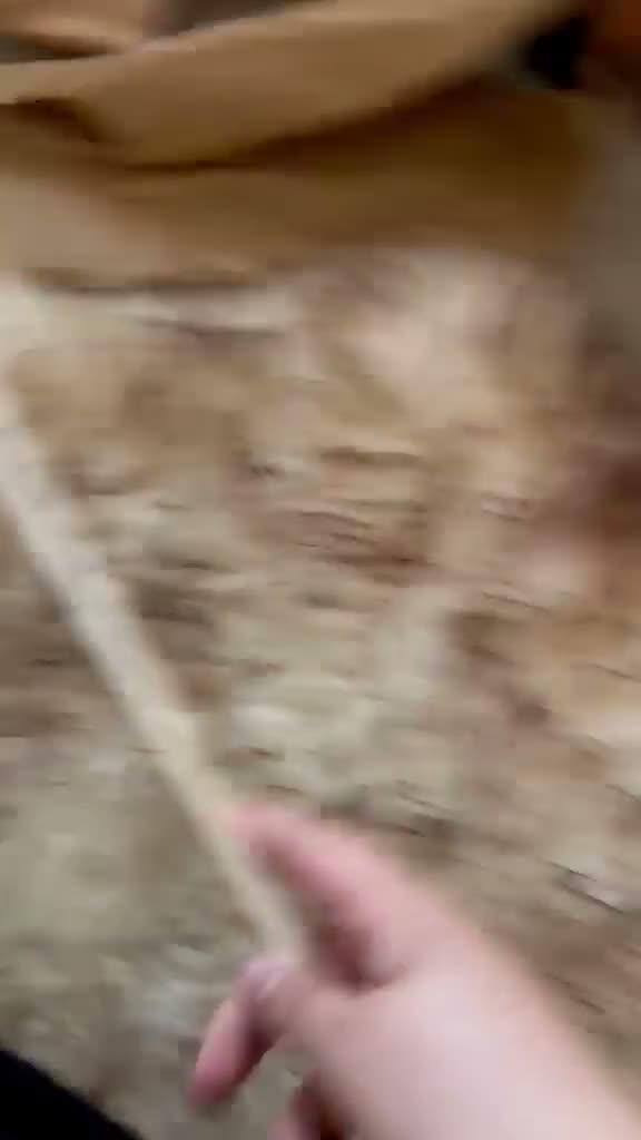 Ferret rodents for sale: Two Friendly Male Ferrets with Cage & Toys - Video 5