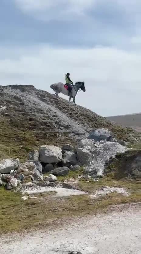 Appaloosa horses for sale: Knabstrupper x Appaloosa gelding  - Video 1