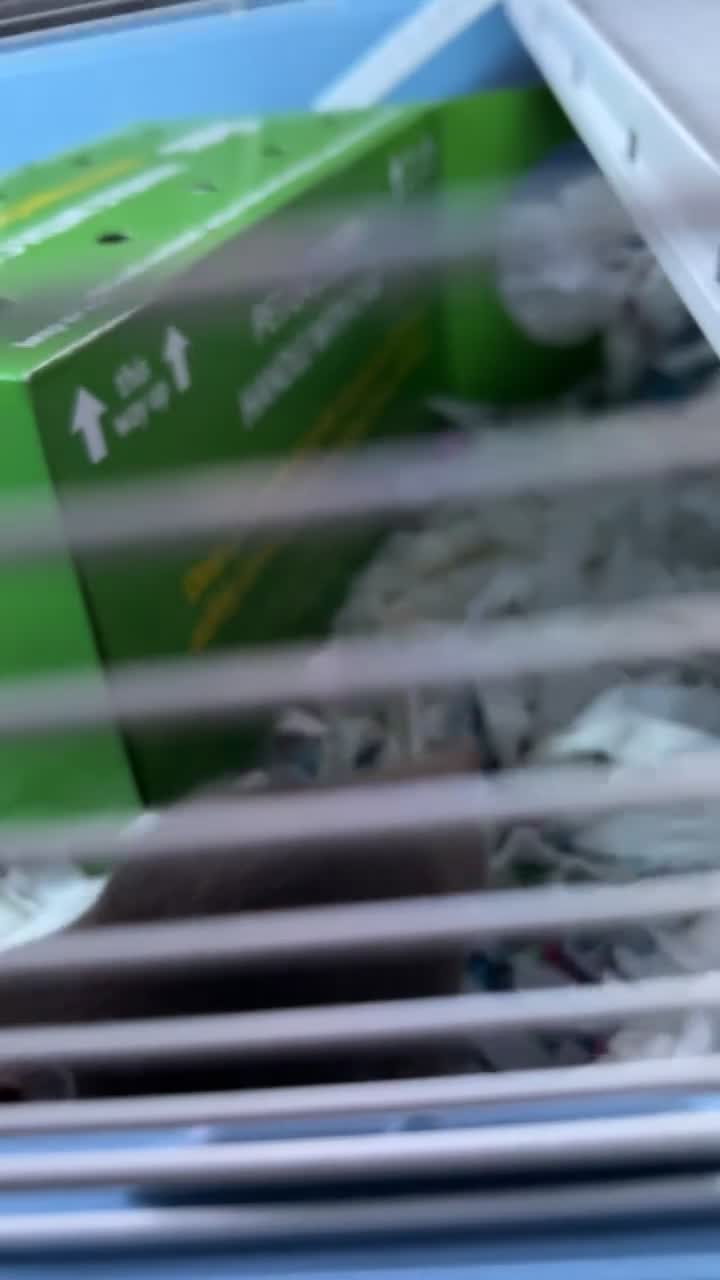 Hamster rodents for sale: Adorable friendly Hamster  in Llanelli - Video 2