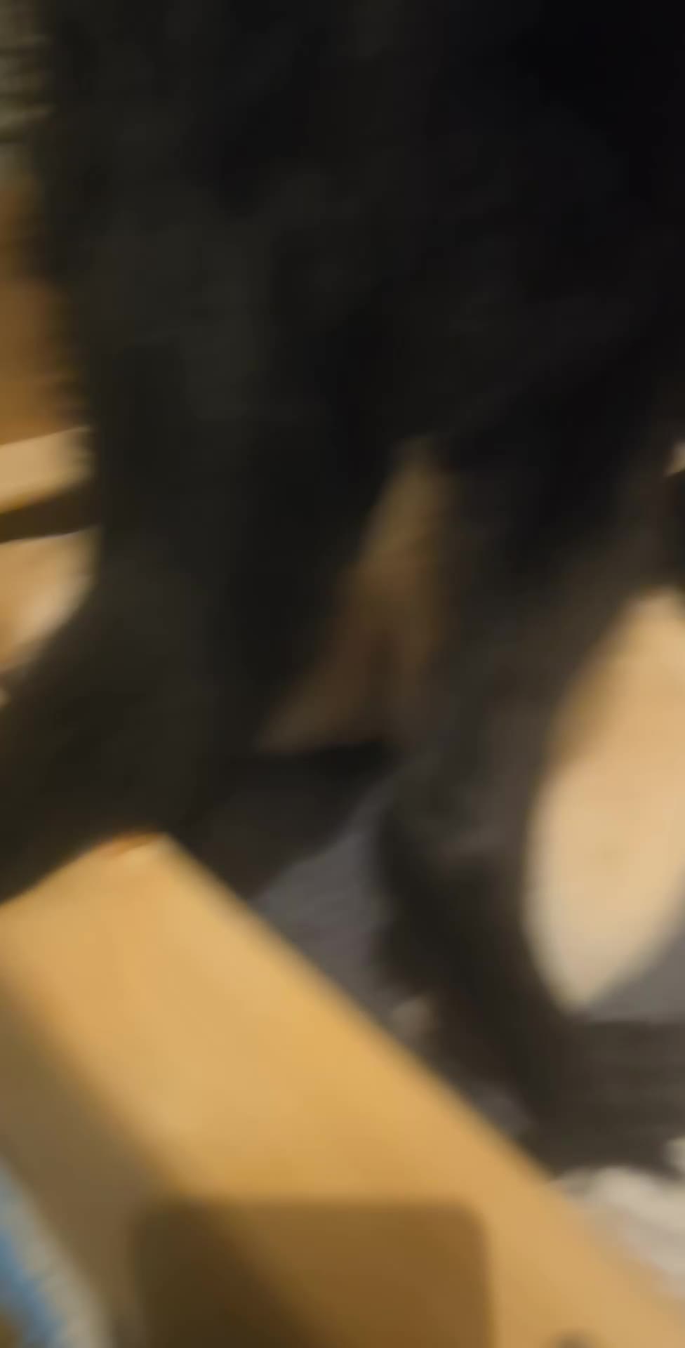 Mixed Breed dogs for sale: Ethically Raised German Shepherd x Lab Puppies - Video 5