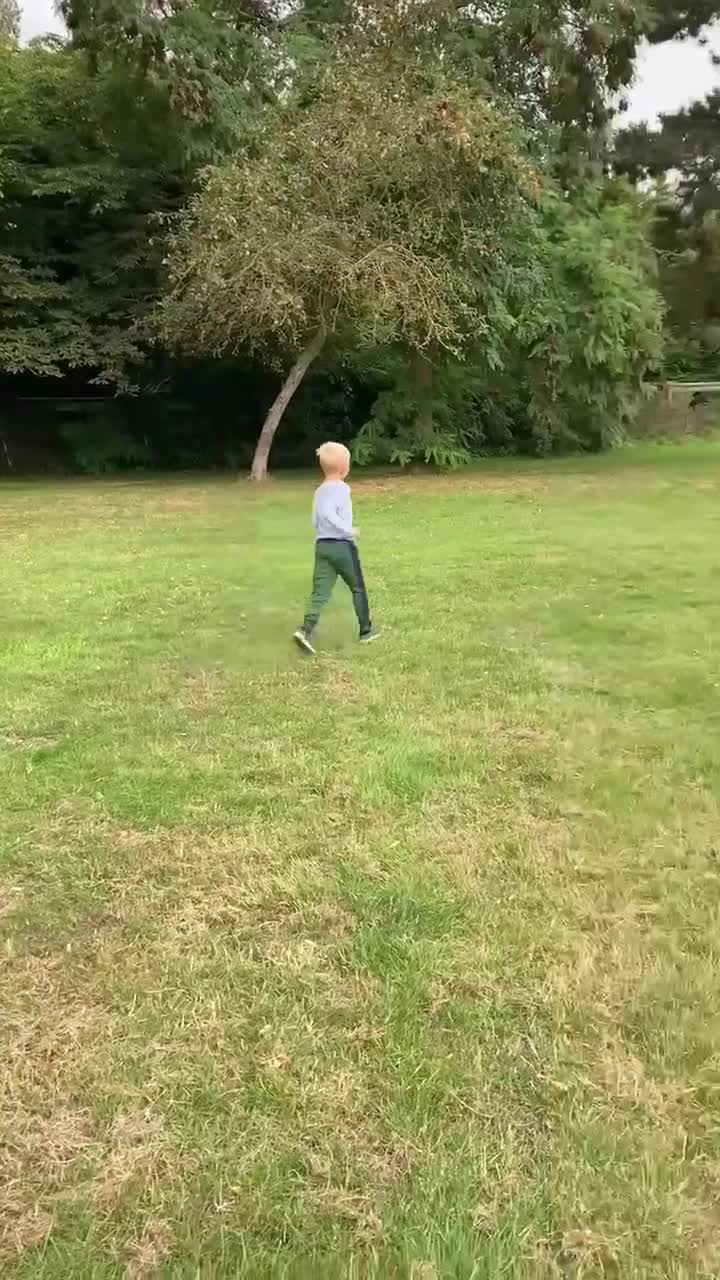 Mixed Breed dogs for adoption: MURPHY - 4.5 years old, Male, Terrier Mix in Northampton - Video 4