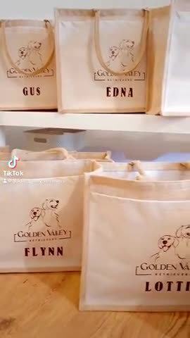 Golden Retriever dogs for sale: 🤍🧸 Litter Annoucement - Home Raised GR Puppies - Video 1