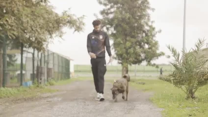 Mixed Breed dogs for adoption: 💔 A Kind Home for DALE - Video 2