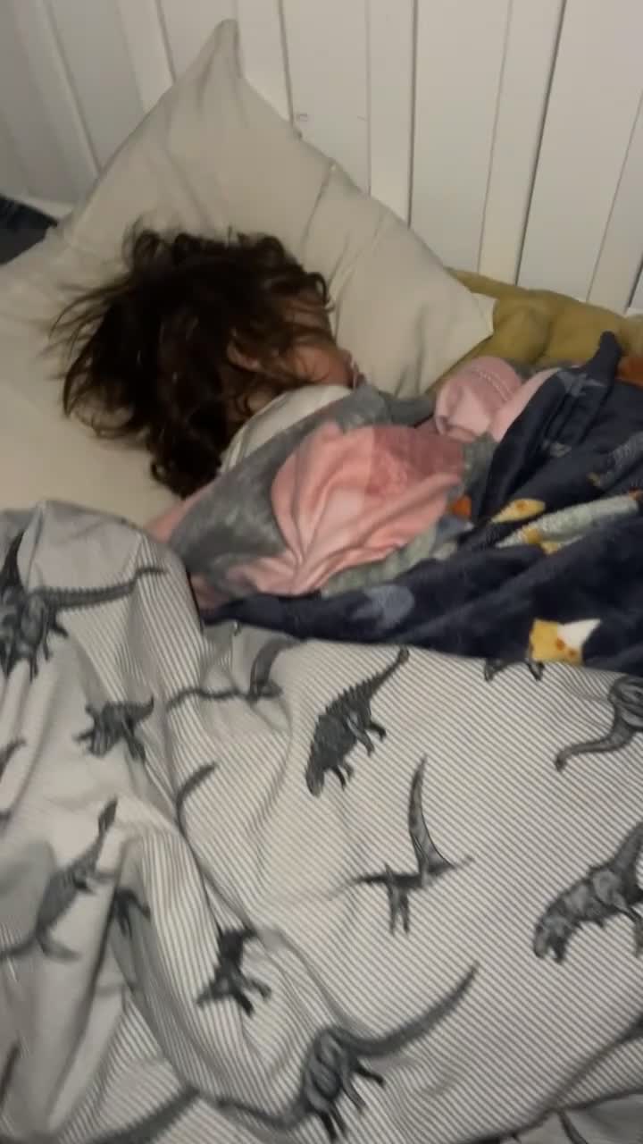 Mixed Breed dogs for sale: Rocco - Video 1