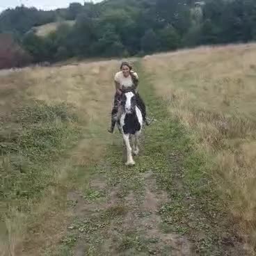 Irish Cob horses for sale: 13.2hh cob mare 4 years old.  - Video 3