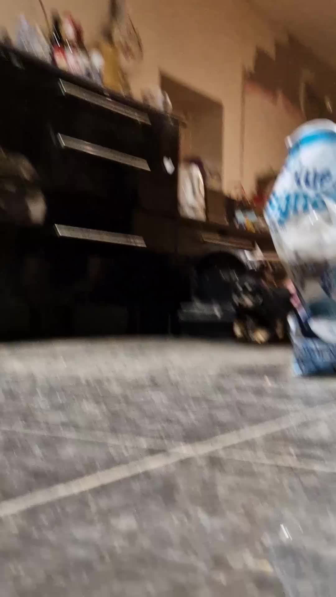 Miniature Dachshund dogs for sale:  Reduced For Last Girl Long Coat Waiting For You  - Video 1