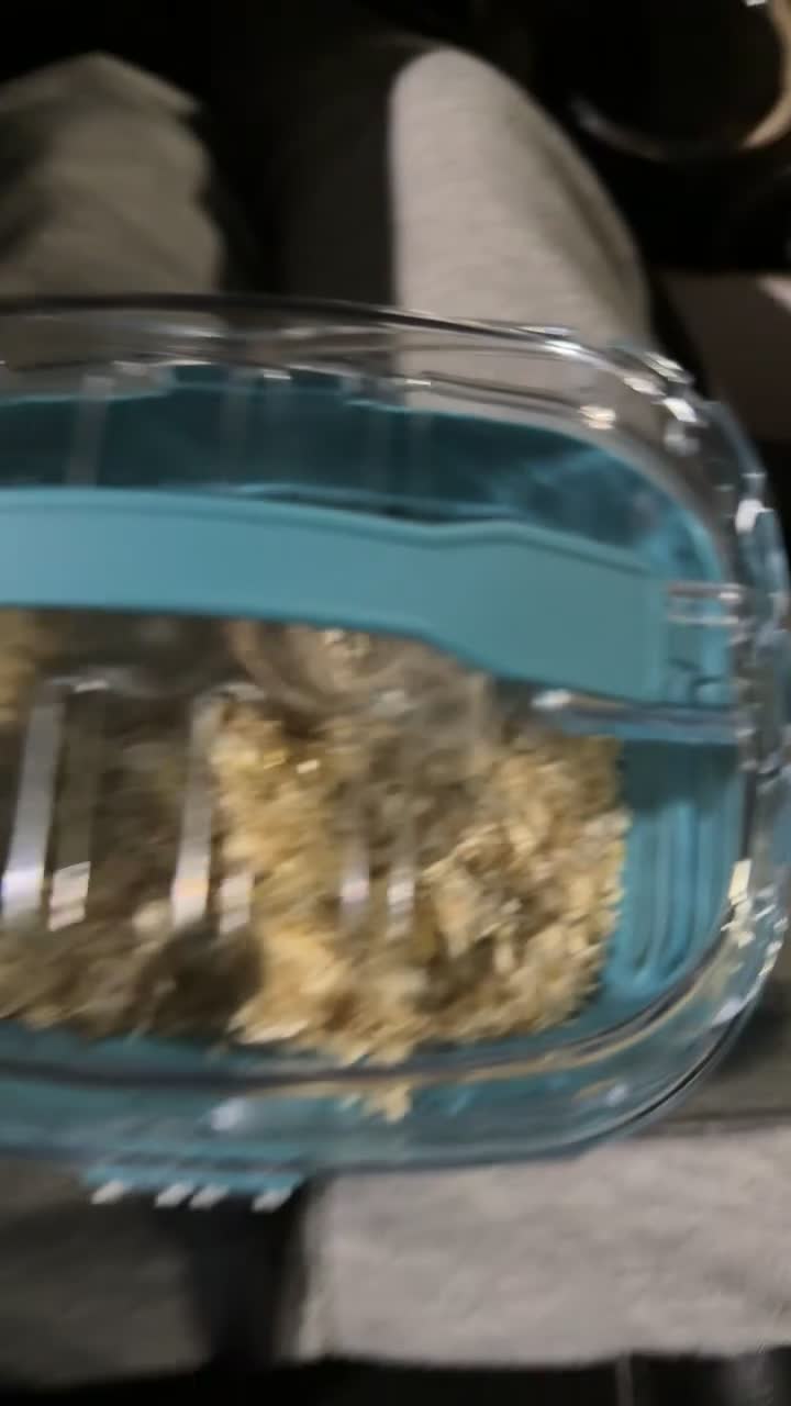 Hamster rodents for sale: Hamster and cage for sale - Video 1