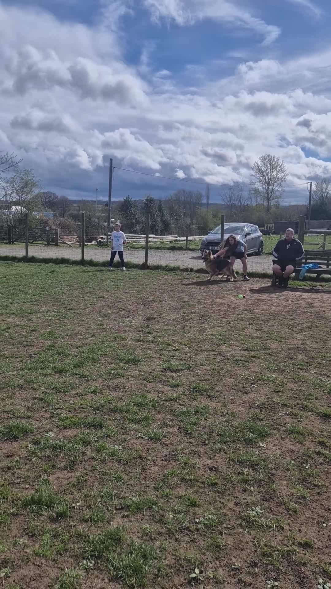 German Shepherd dogs for sale: 13 month old female german shepherd in Gateshead - Video 2