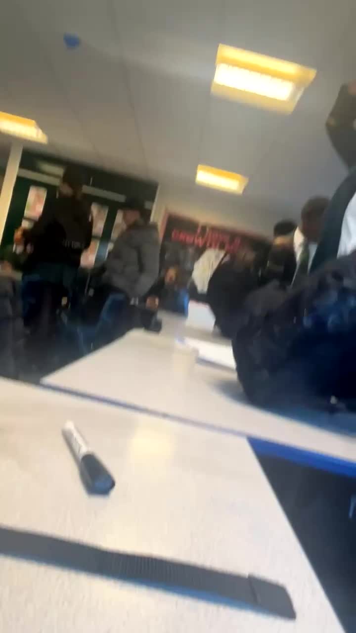 Budgerigars birds for sale: Budgie birds in Gloucester - Video 4