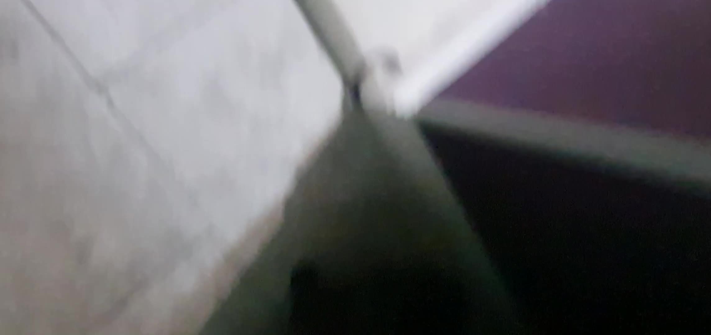 Mixed Breed cats for sale: Beautiful black cat 1 year old read description 🙏 - Video 3