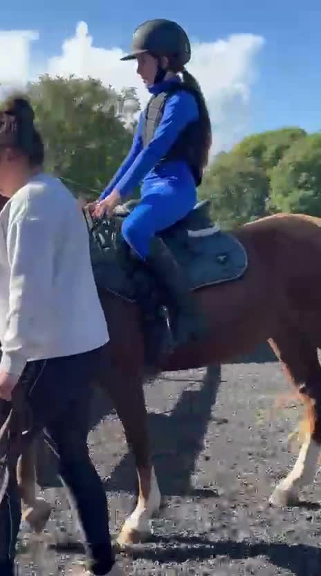 Welsh Section D horses for sale: Stunning chestnut mare  - Video 4