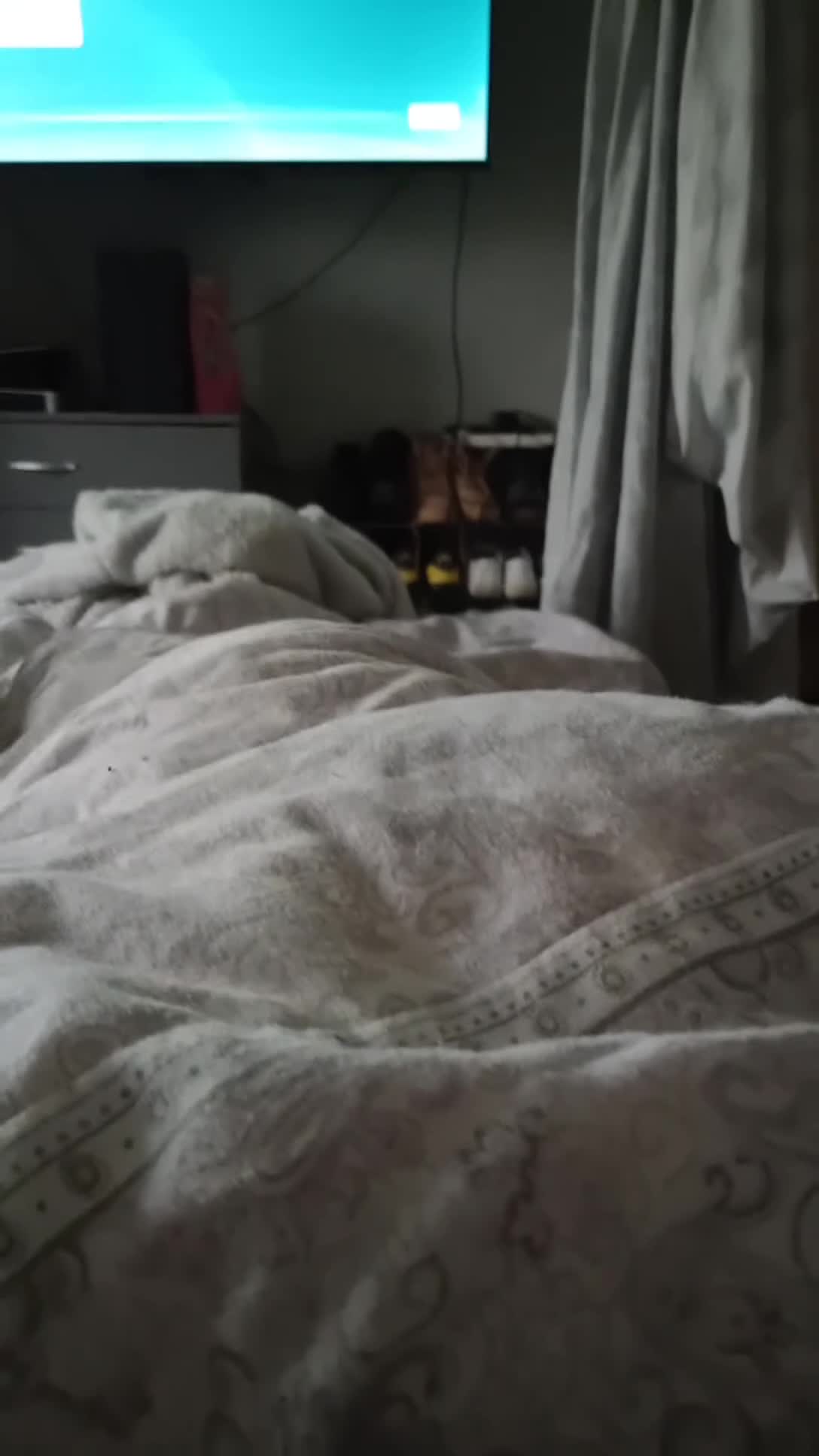 Maine Coon cats for sale: Two main coons one with papers - Video 2