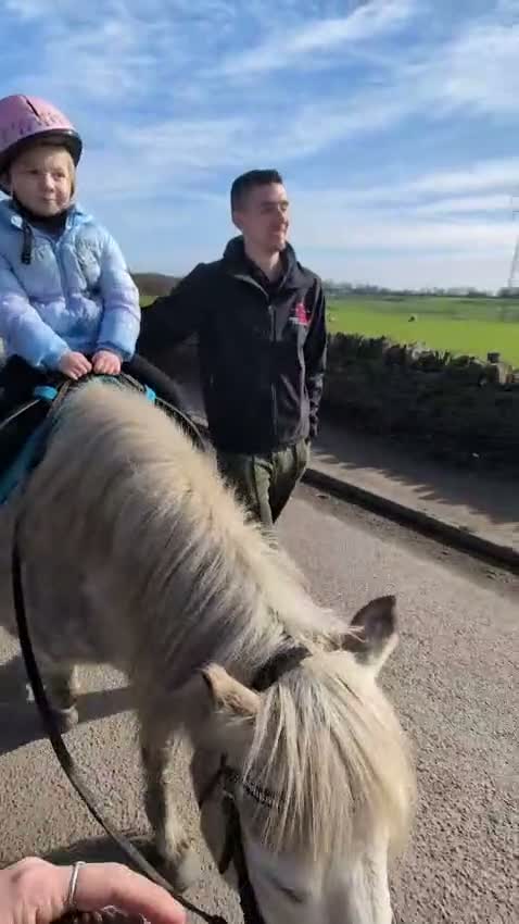 Riding pony horses for sale: Star  - Video 1