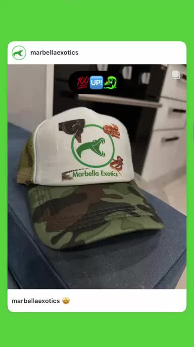 Gecko reptiles for sale: Crested and Leopard geckos available - Video 2