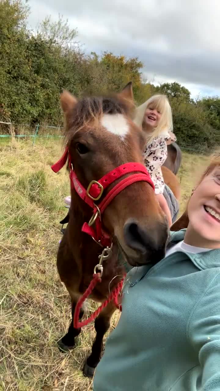 New Forest horses for sale: Rising 4 new forest gelding - Video 1