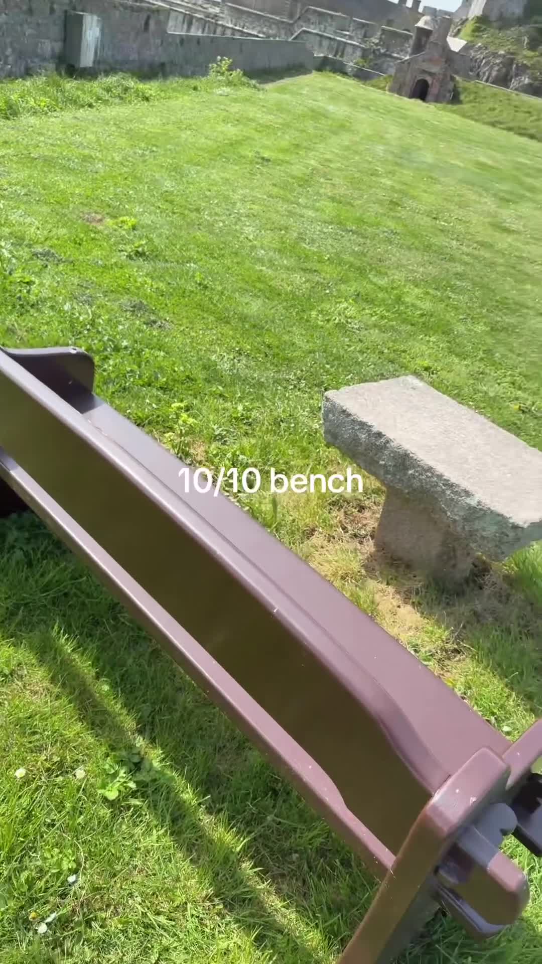 Rottweiler dogs for sale: 14 Gorgeous Rottweiler puppies for sale - Video 1