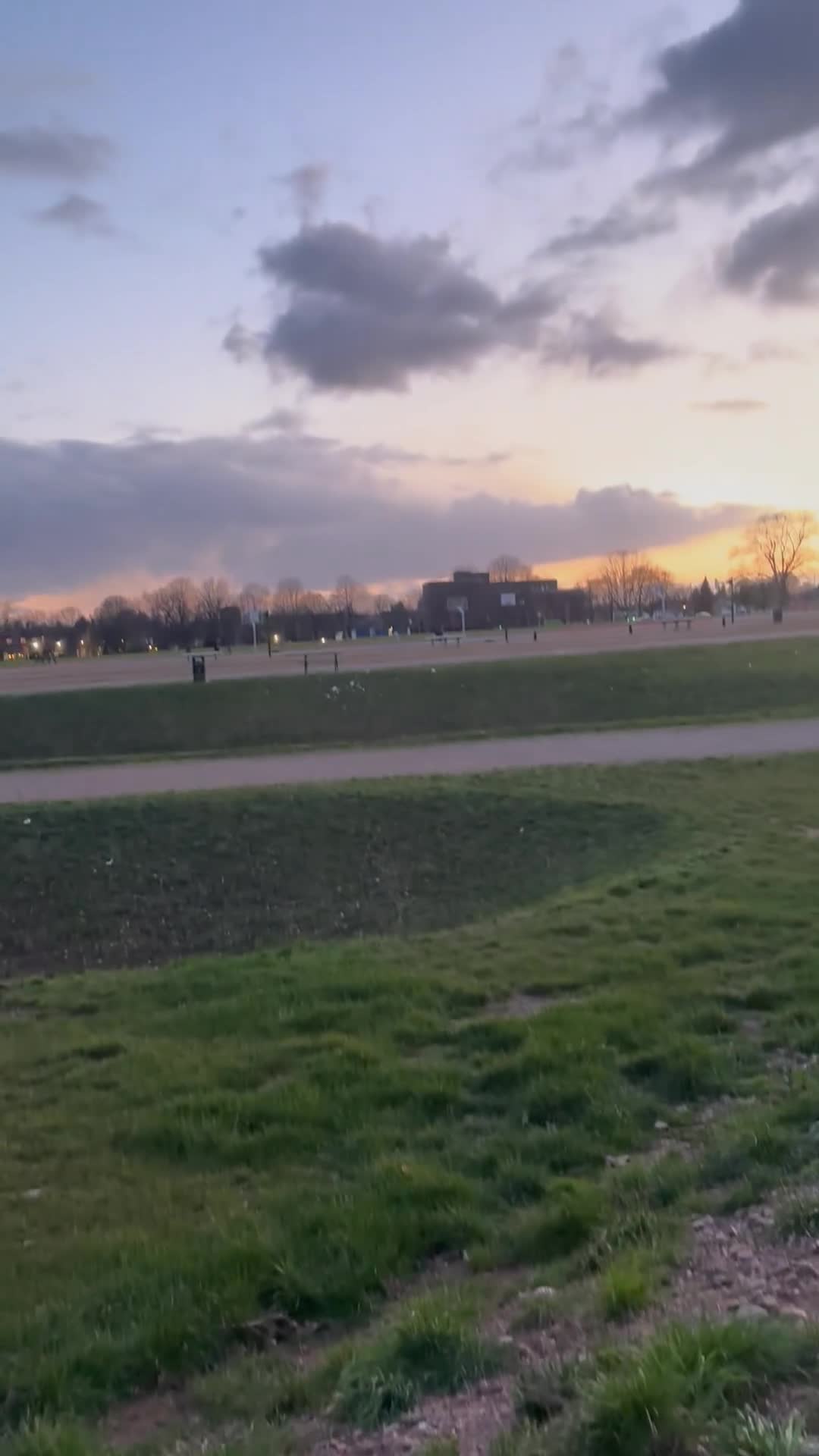 German Shepherd dogs for stud: Handsome German Shepherd x Dutch Shepherd for Stud - Video 2