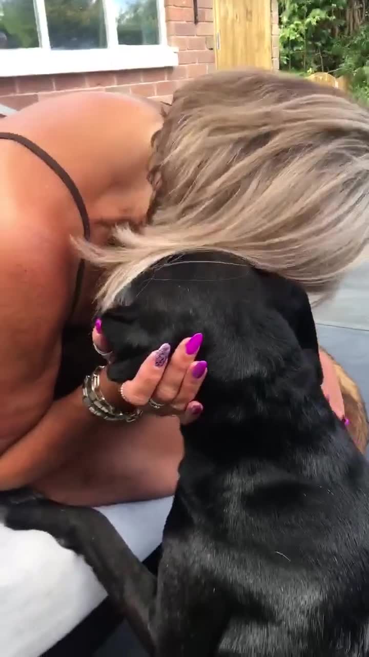 Mixed Breed dogs for adoption: Raven the gentle Labrador cross  - Video 1