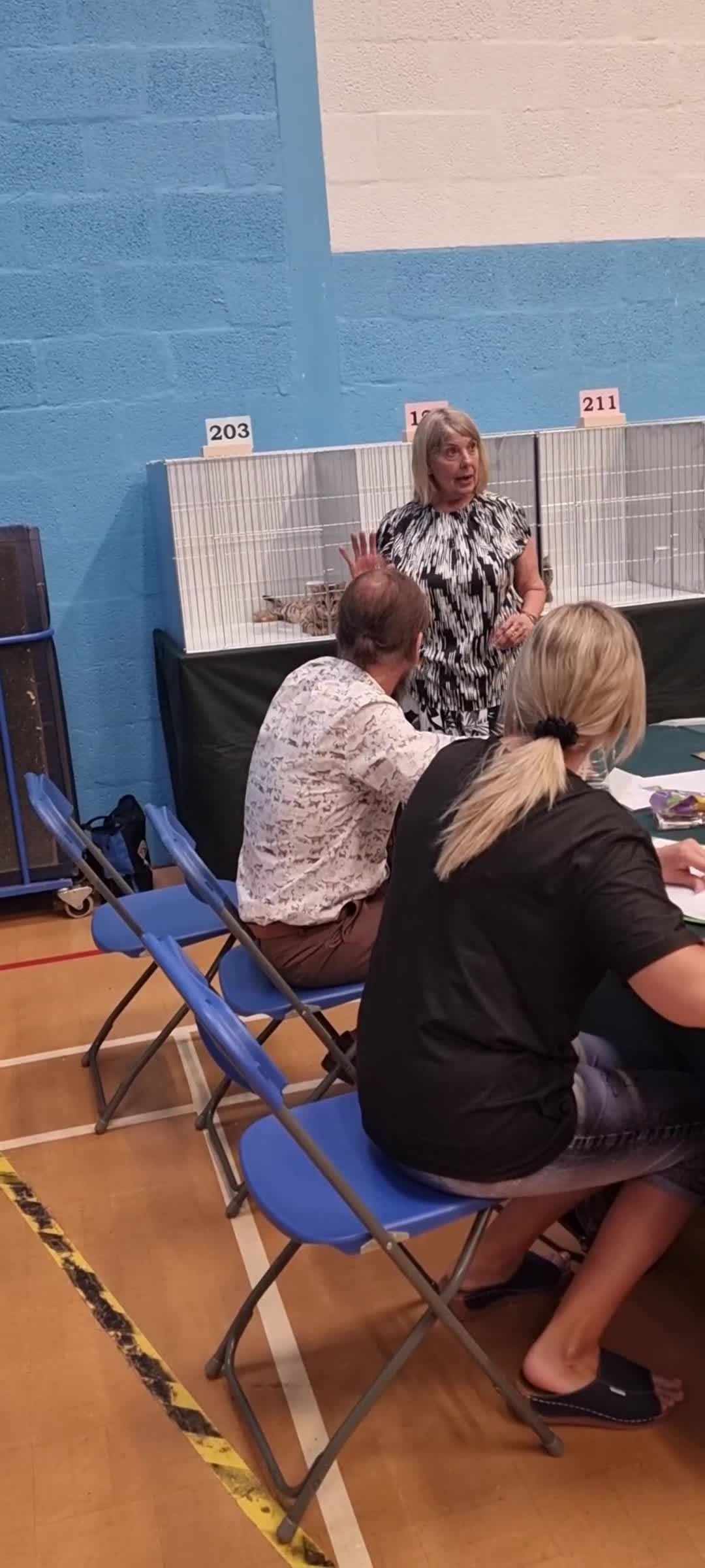 Bengal cats for sale: Stunning 5th generation bengal kitten - Video 3