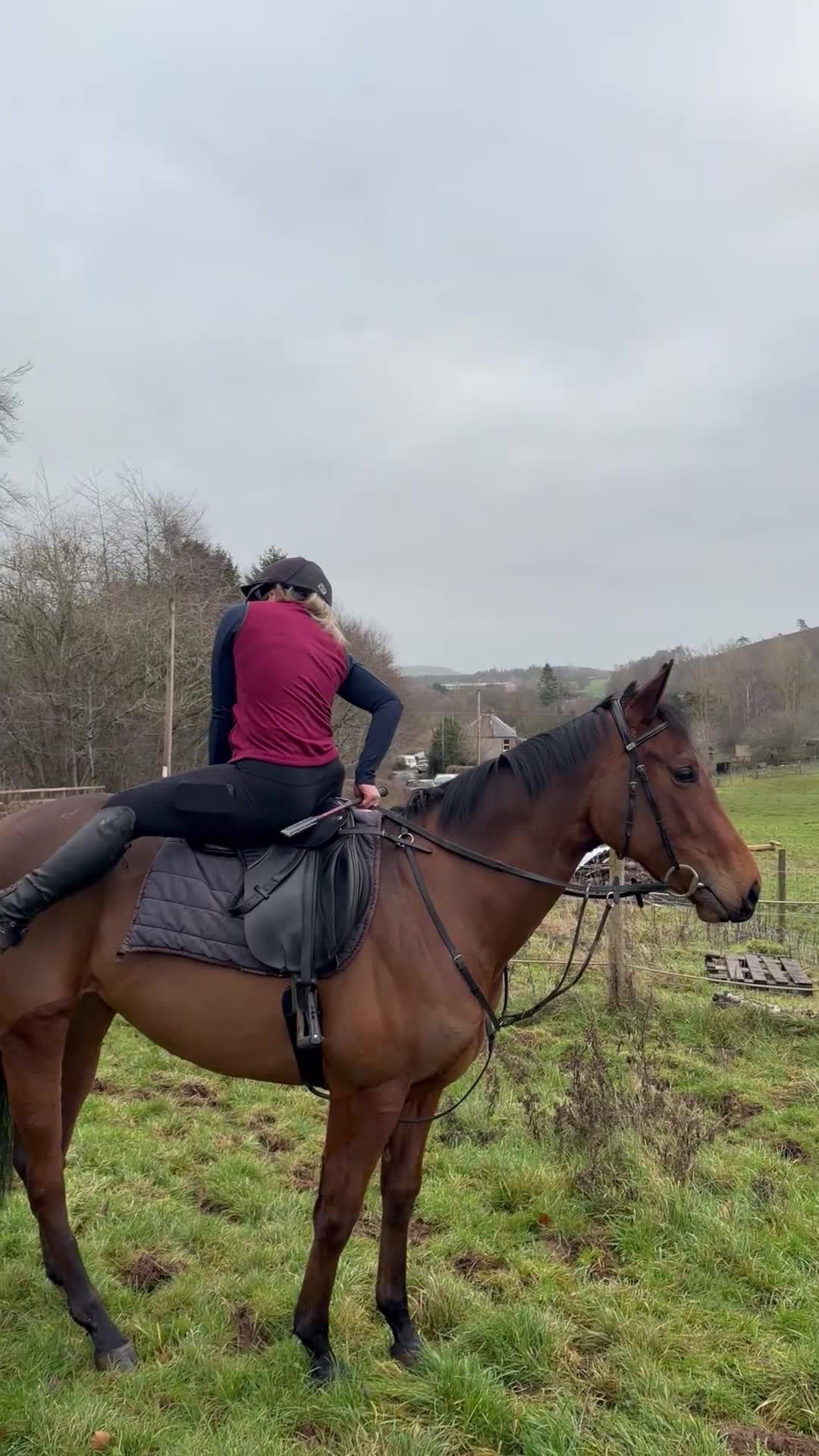 English Thoroughbred horses for sale: Bella bay 3 year old filly - Video 1