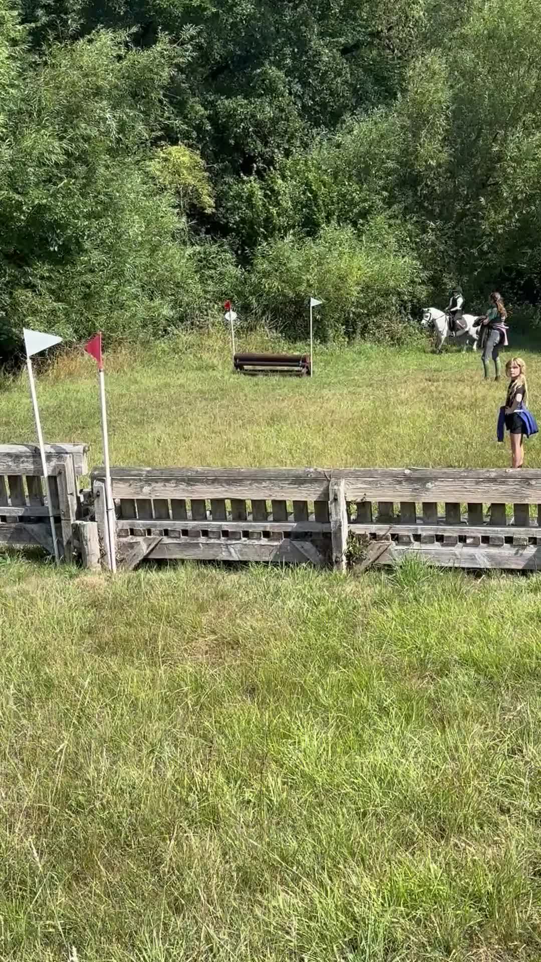 Welsh Section A horses for sale: 11.3 Welsh A Gelding  in Bristol - Video 1