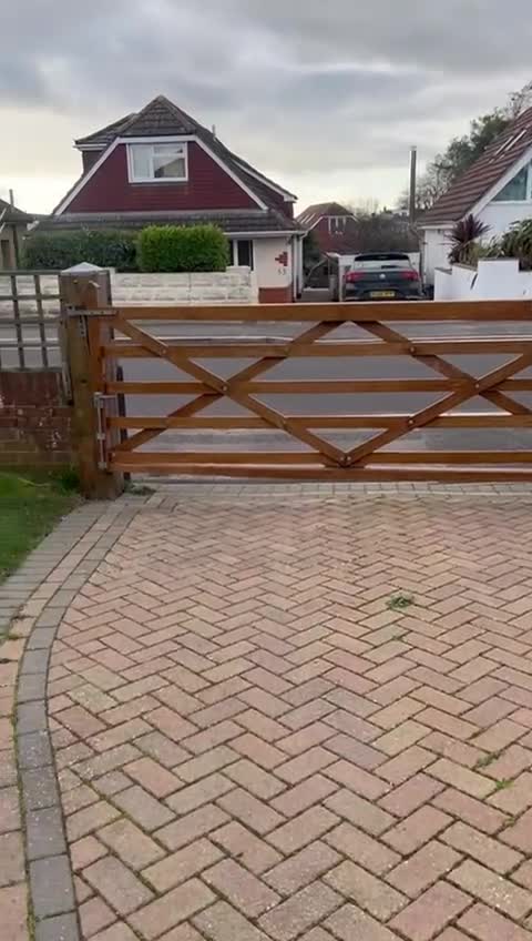 Mixed Breed dogs for adoption: Meet brilliant Bertie!!!  - Video 1