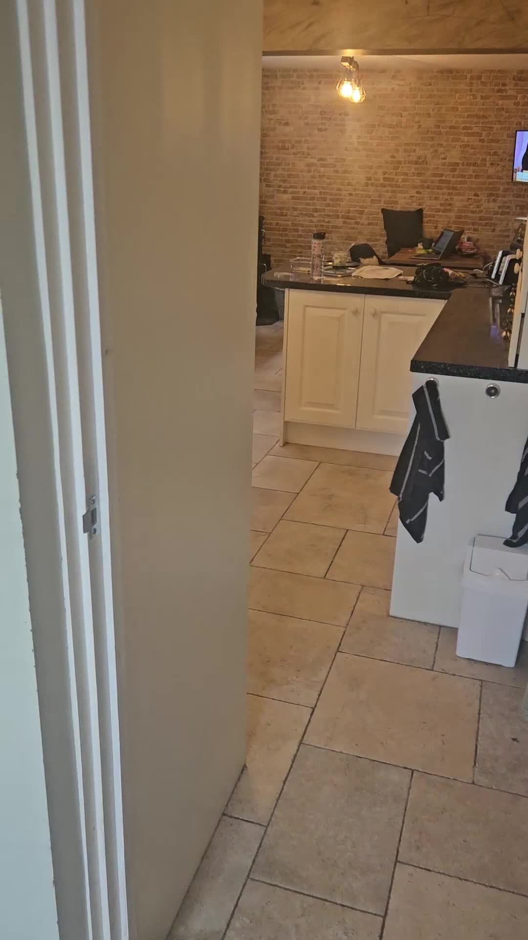 Cocker Spaniel dogs for sale: 1.5yr old cocker Spaniel for sale.  - Video 1