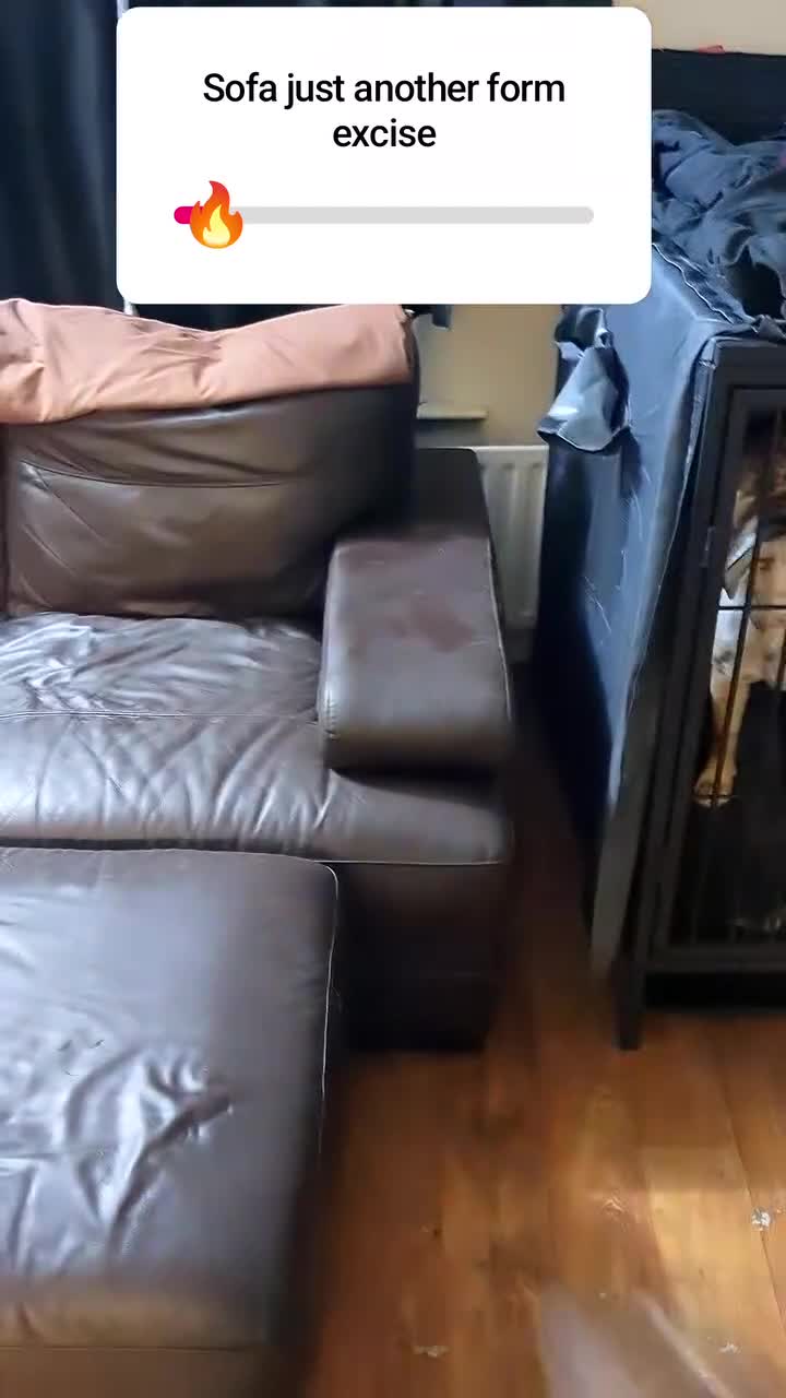 Olde English Bulldogge dogs for sale: Olde English bulldogges  in Enniskillen - Video 3