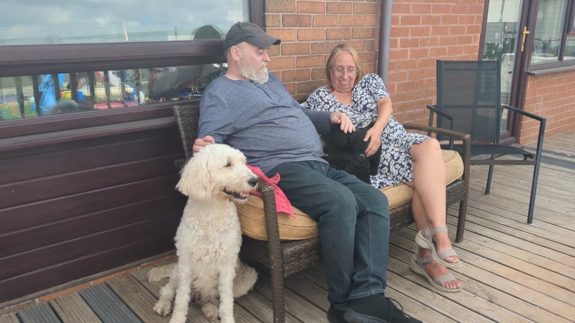 Goldendoodle dogs for sale: F1B Standard Goldendoodle Puppies! 😍🩷 Can save!  - Video 2