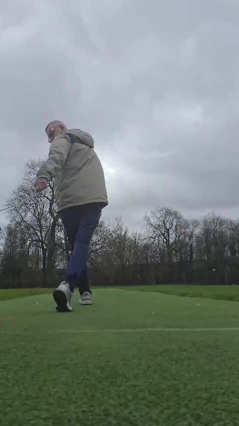 English Bull Terrier dogs for stud: "Pedigree Perfection" one of the best in the world - Video 3