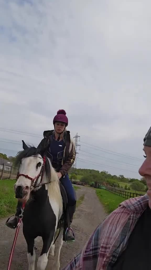 Irish Cob horses for sale: 13.1h Irish cob gelding.  - Video 1