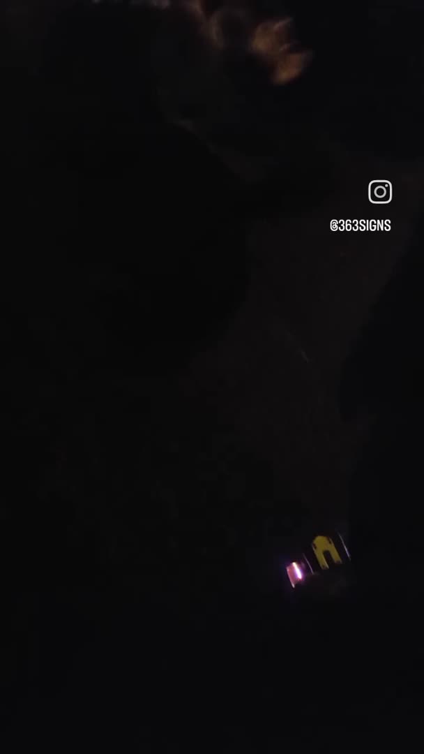 Rottweiler dogs for stud: Male rottweiler stud in Liverpool - Video 1