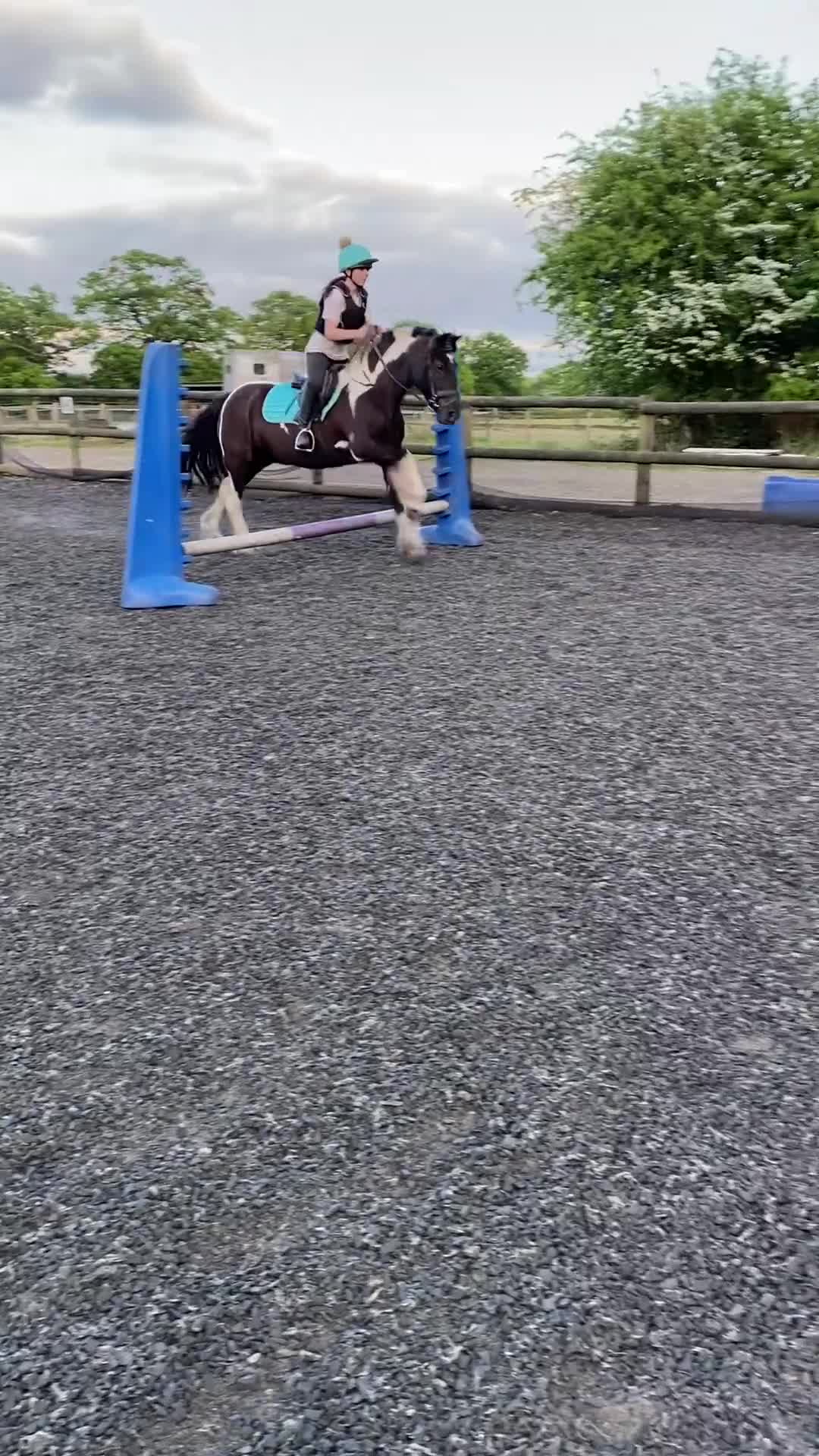 Other Breed horses for sale: Rosie 14hh 19yo cob mare,fun low-level all-rounder - Video 4