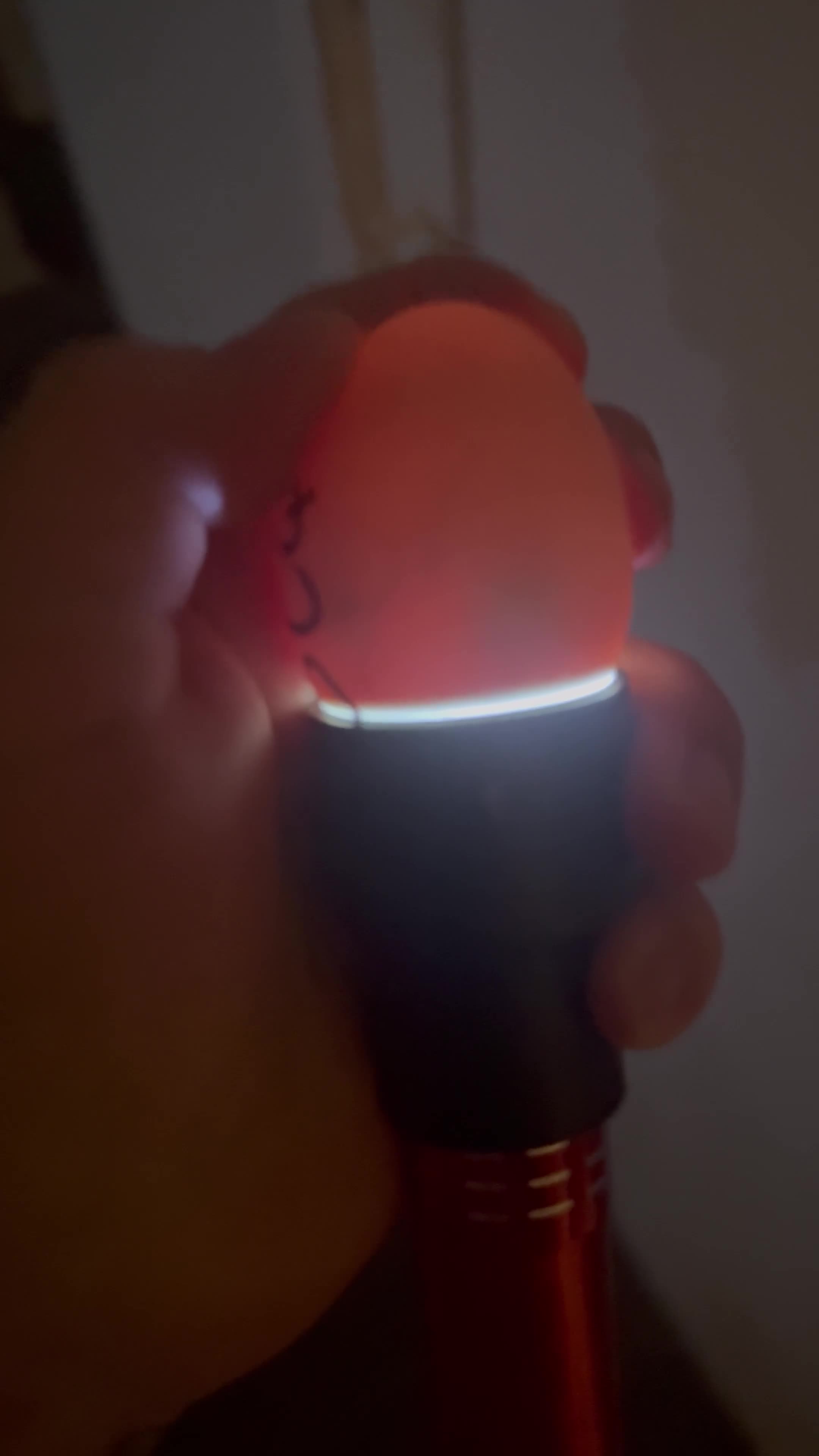 Ducks poultry for sale: Call ducklings & harlequin ducklings  in Northampton - Video 1