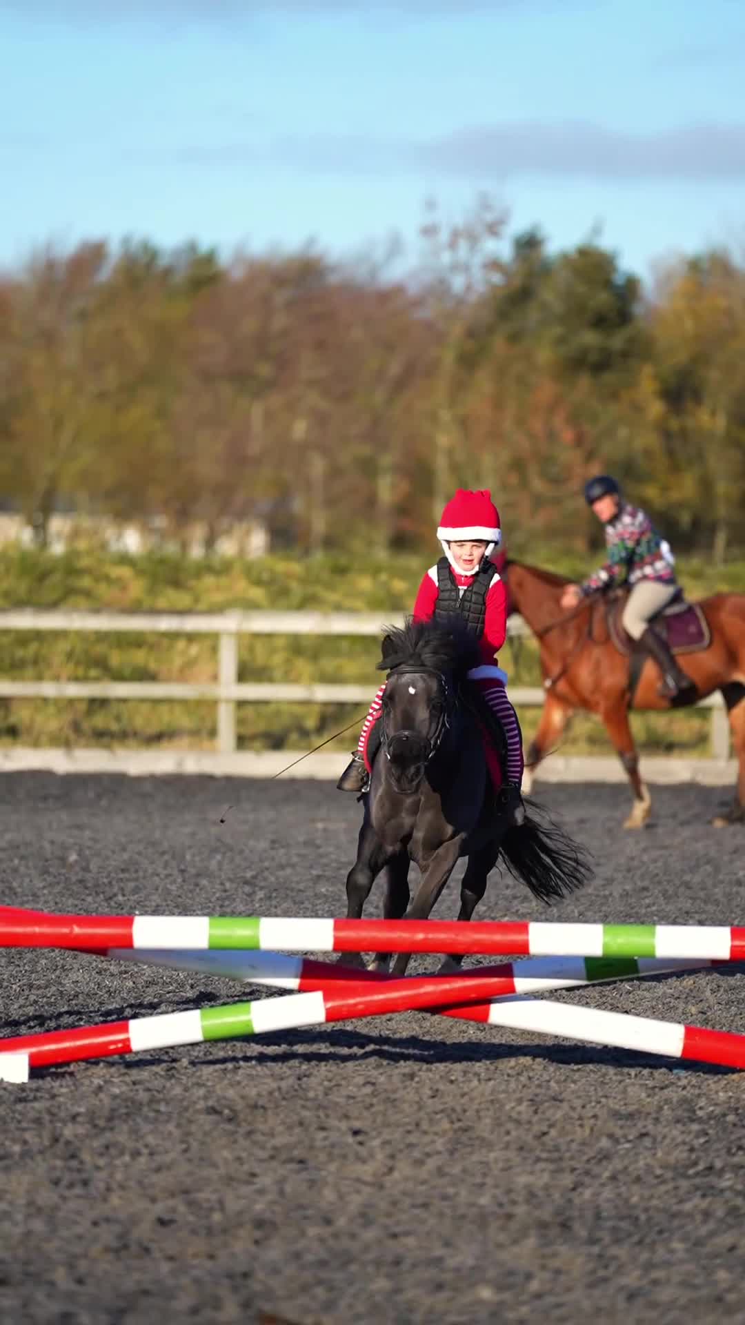Riding pony horses for sale: 12.2hh All rounder pony  - Video 2