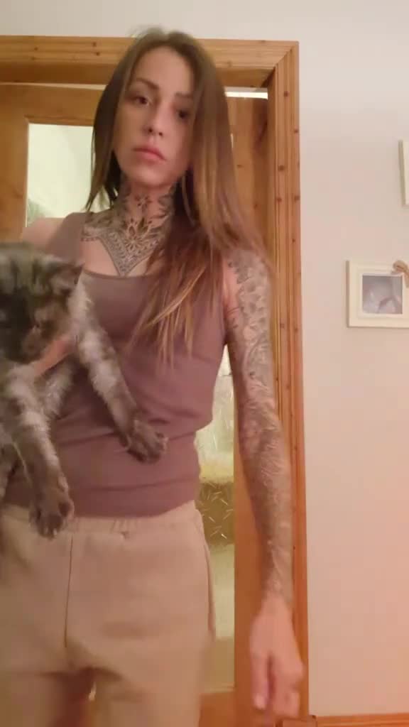 Maine Coon cats for sale: ⚜️ black smoke maine coon queen ⚜️ - Video 1