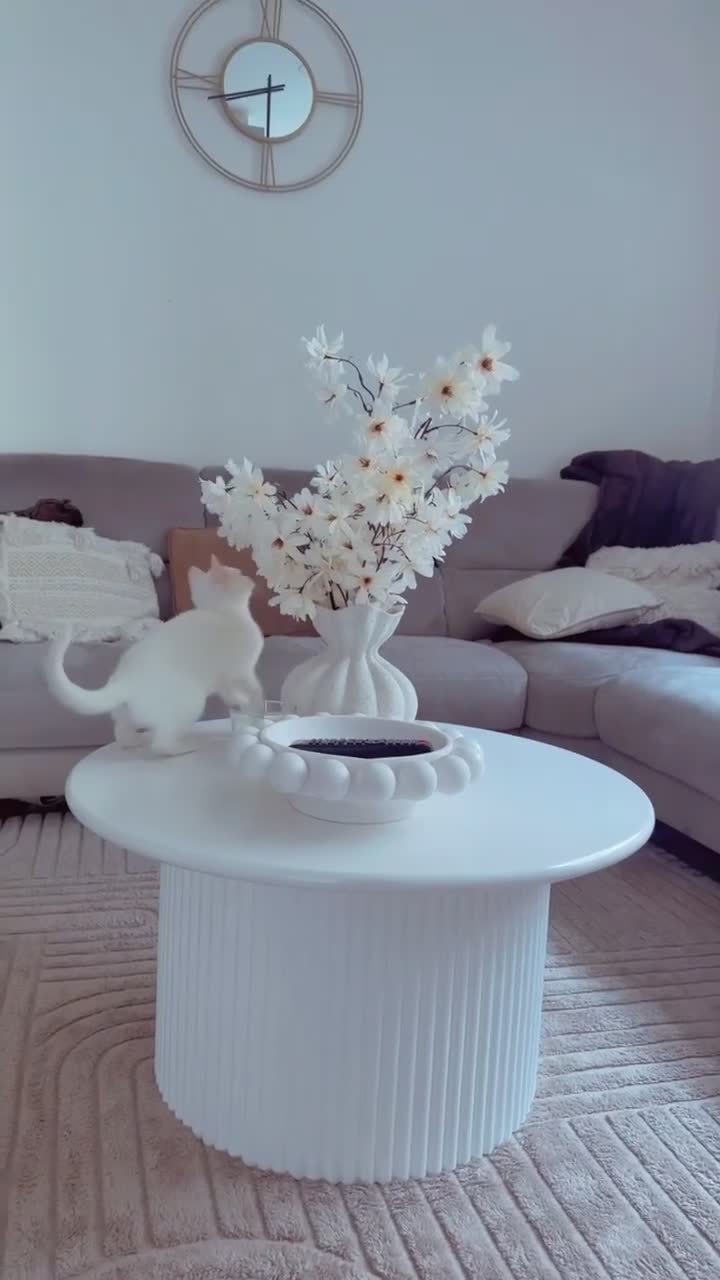 Mixed Breed cats for sale: Beautiful tabby kitten- 13 weeks old  - Video 1