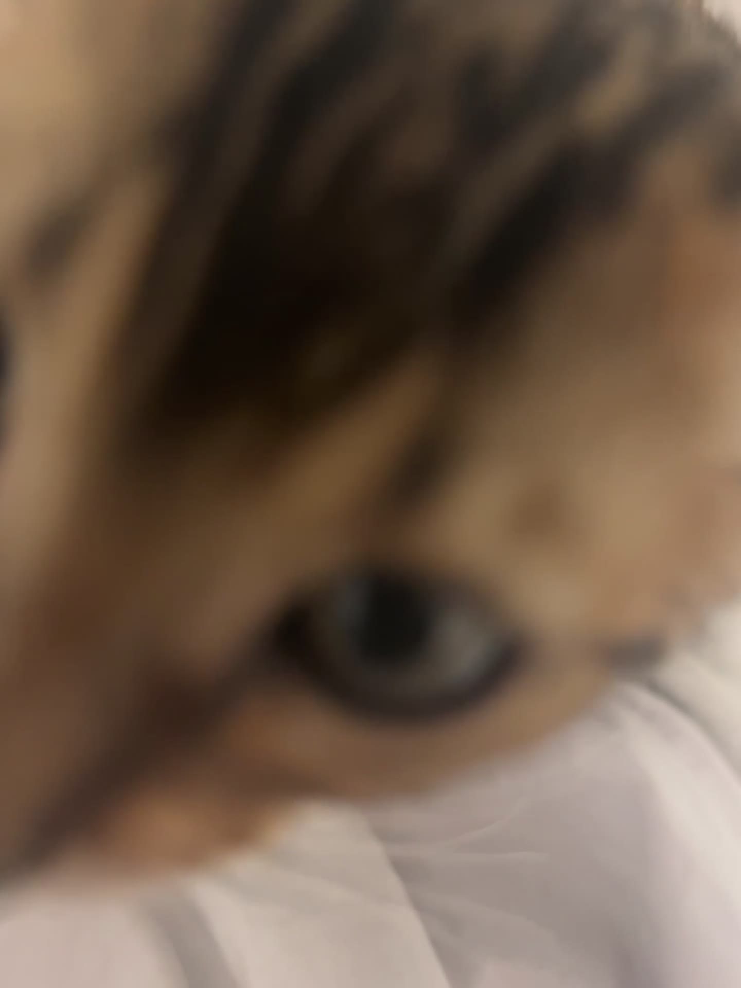 Bengal cats for sale: cuddly kitty for sale :) in Leeds - Video 1