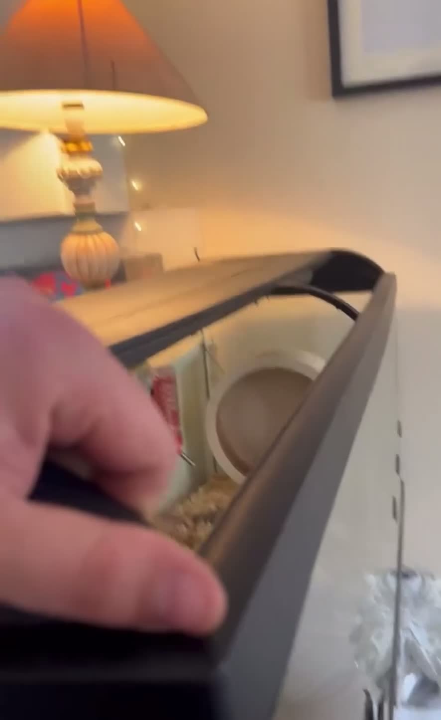 Hamster rodents for sale: LARGE HAMSTER ENCLOSURE  - Video 1