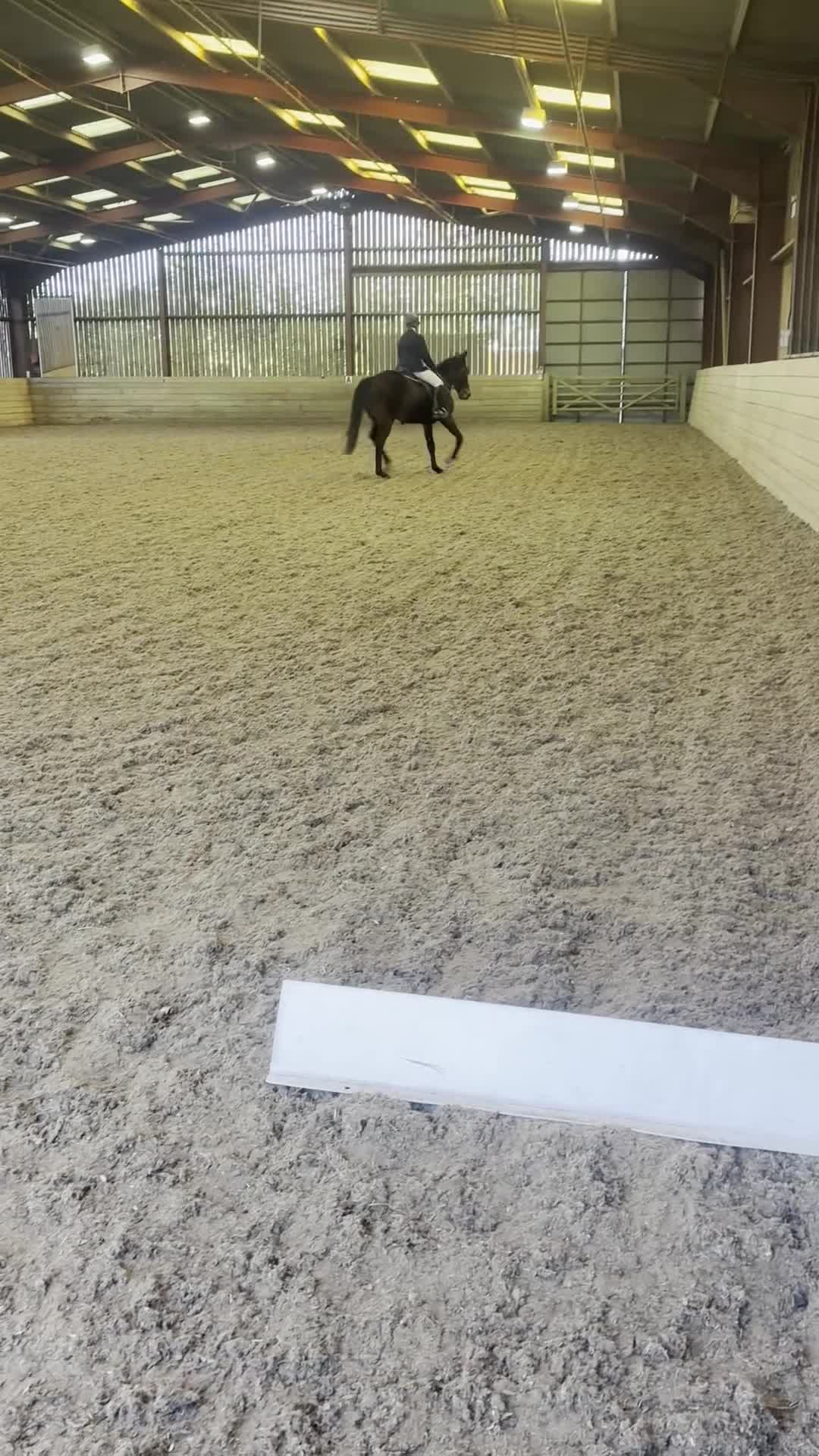 English Thoroughbred horses for sale: ROR eligible hunt/ event/ all rounder prospect - Video 4