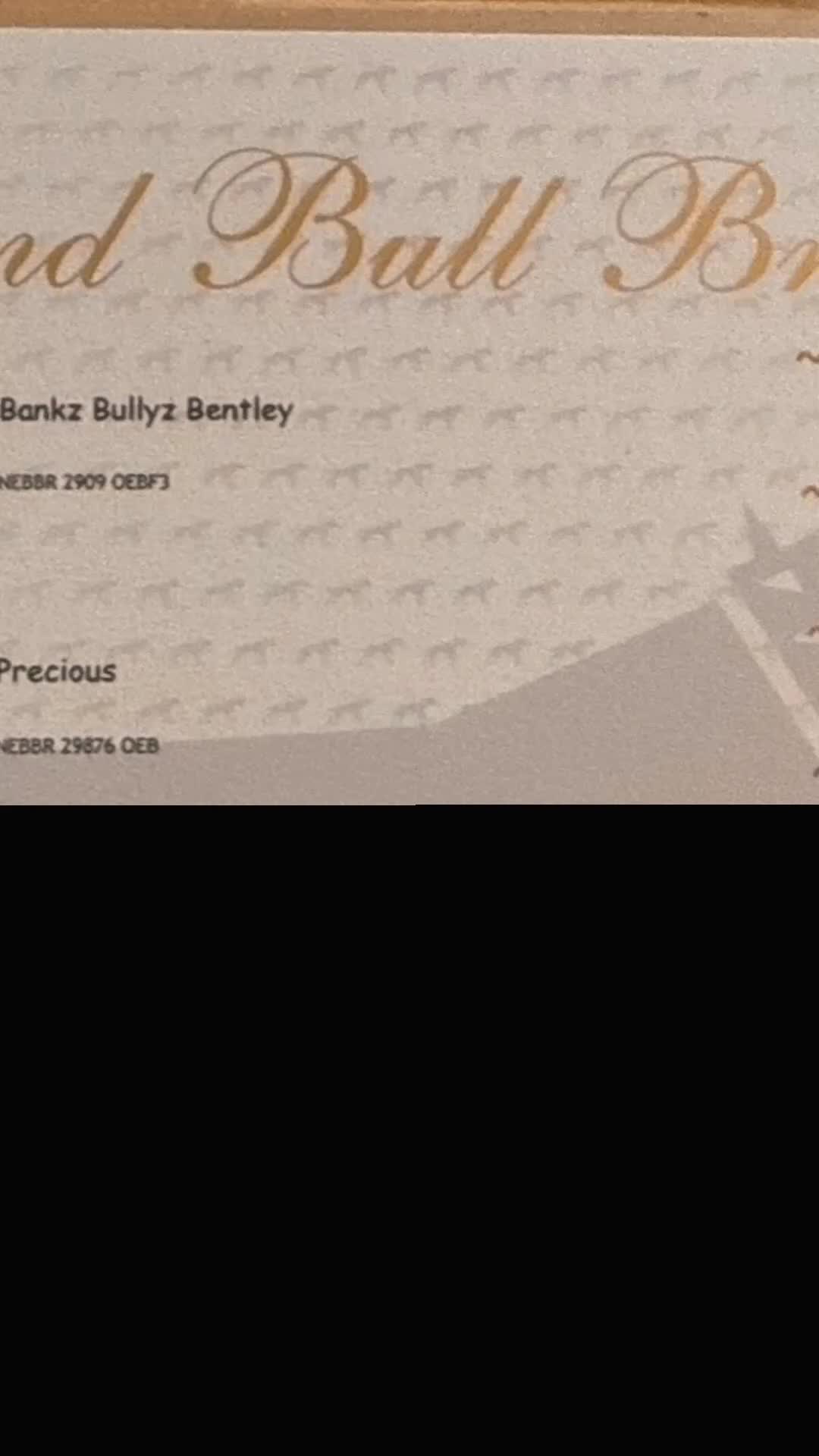 Olde English Bulldogge dogs for sale: Stunning Old English Bulldog Pups NEBBR Registered - Video 1