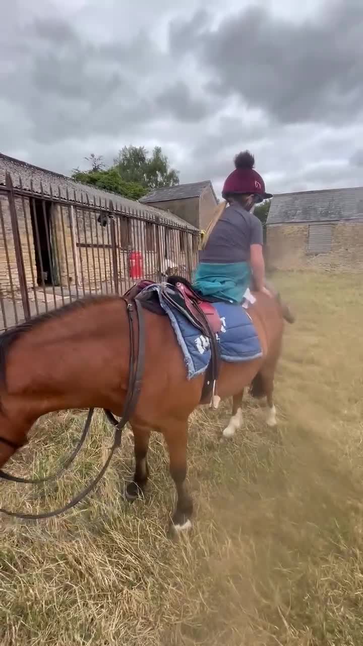 Welsh Section A horses for sale: Super 12.2hh Pony - Video 2