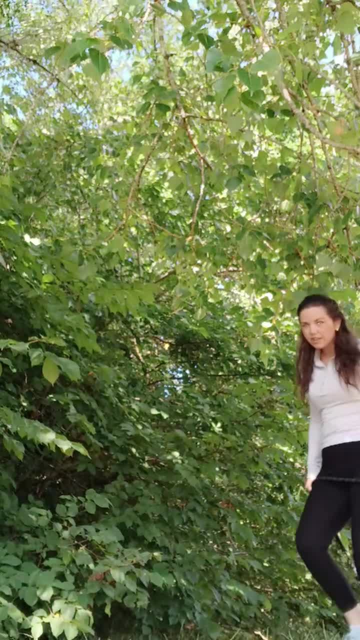 Presa Canario dogs for sale: Chief  - Video 1