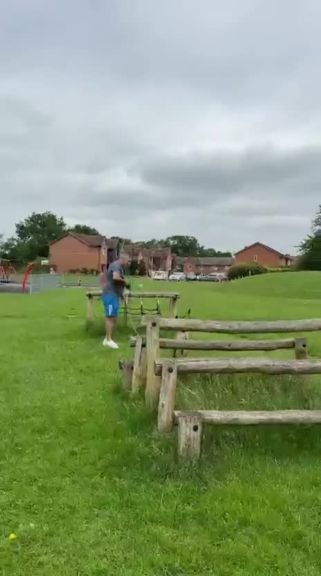 Belgian Shepherd Dog dogs for stud: Belgian Malinois Stud Available – Rico in Dereham - Video 1